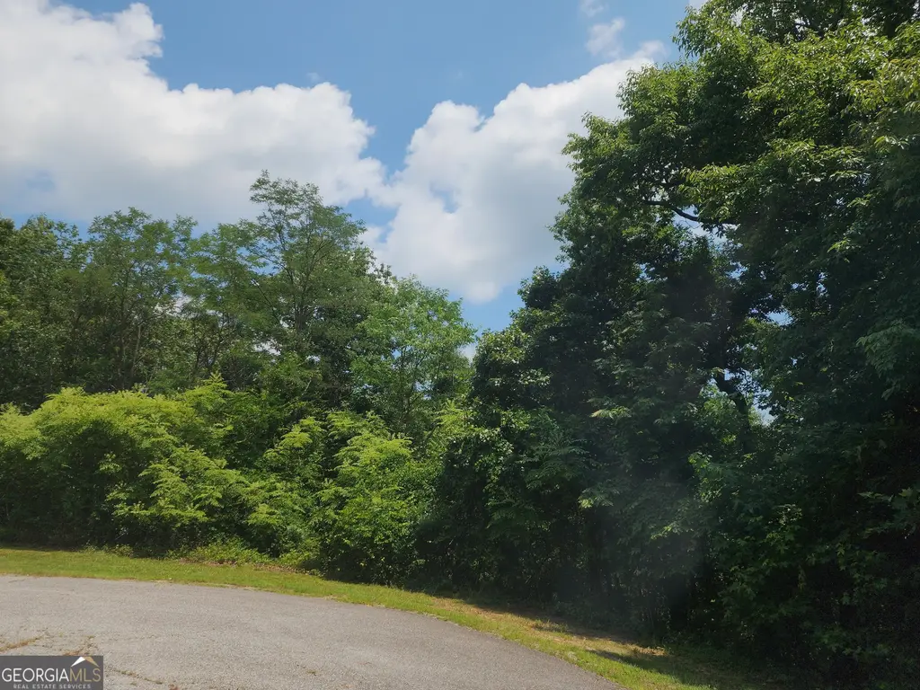 Lot #14 Little Eagle Mtn, Clarkesville