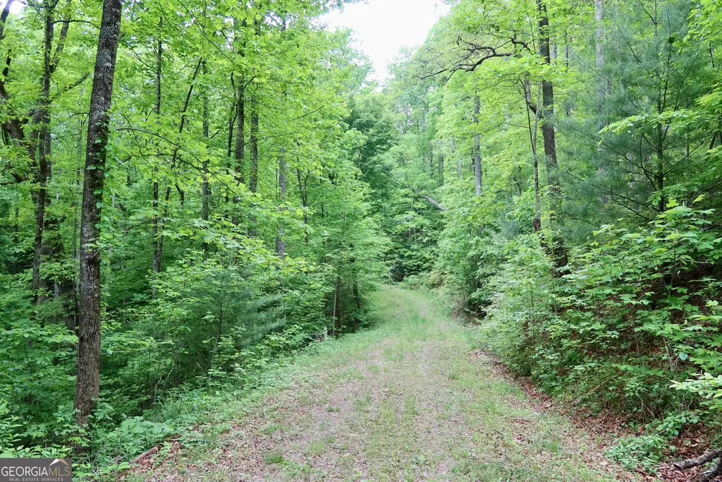 Bluff Mtn, Dillard