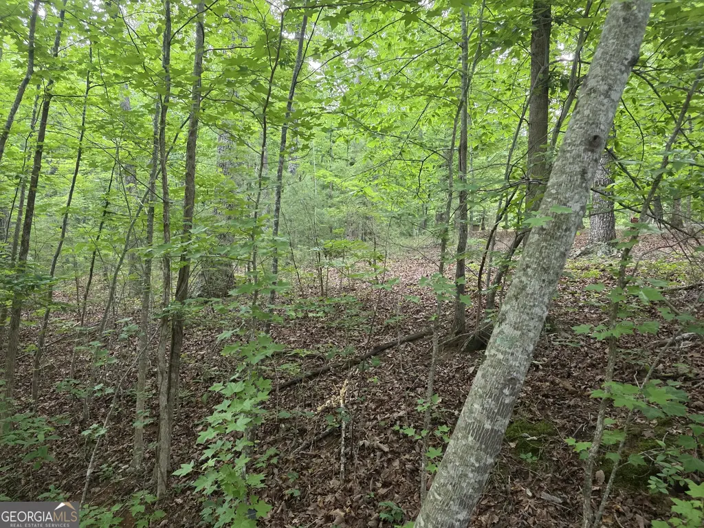 2 Lots Oak Forest, Clarkesville