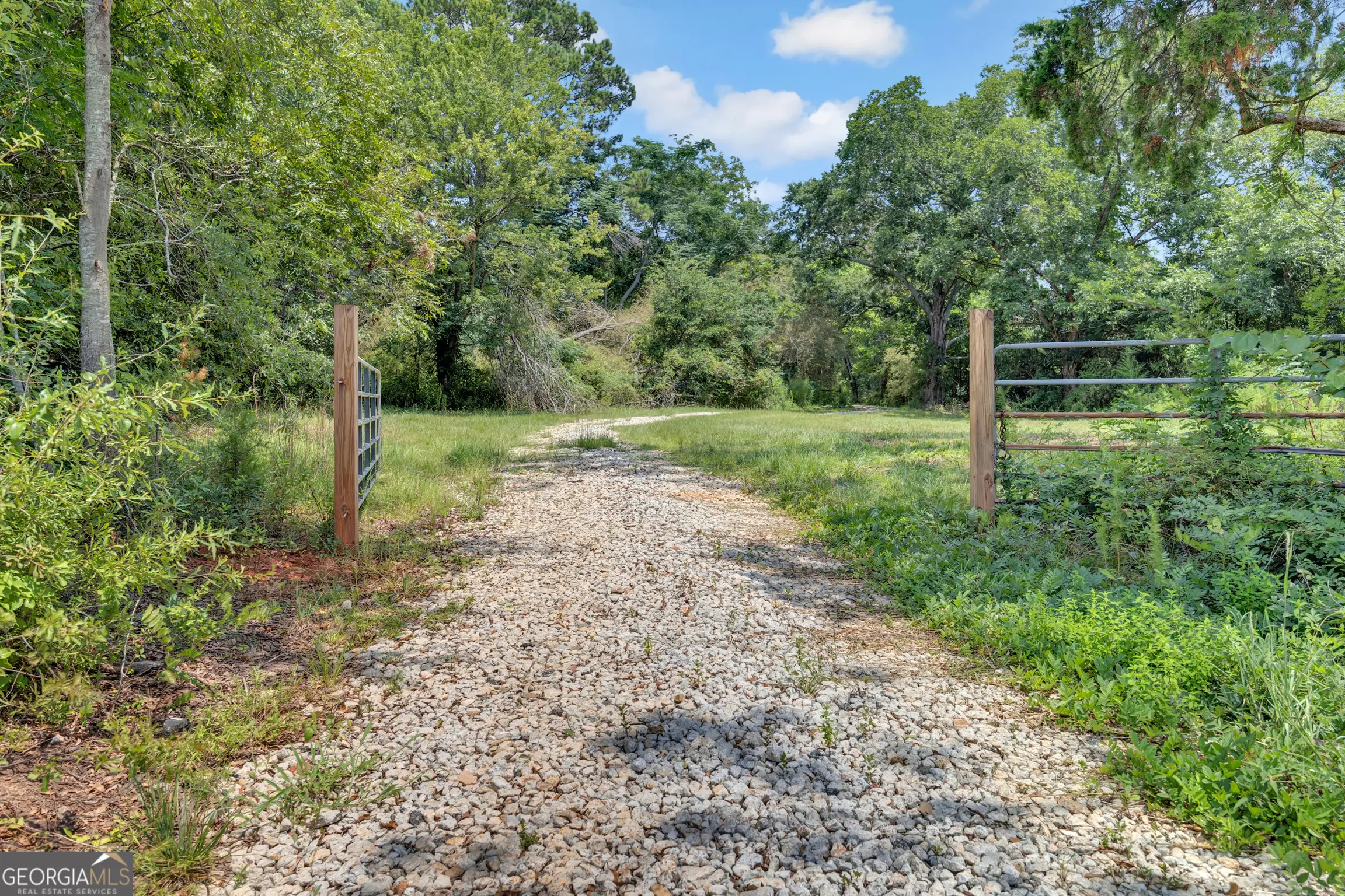 Photo of Listing #10790330