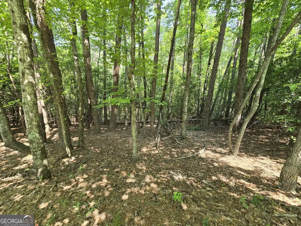 C2 Quail Run, Sautee Nacoochee