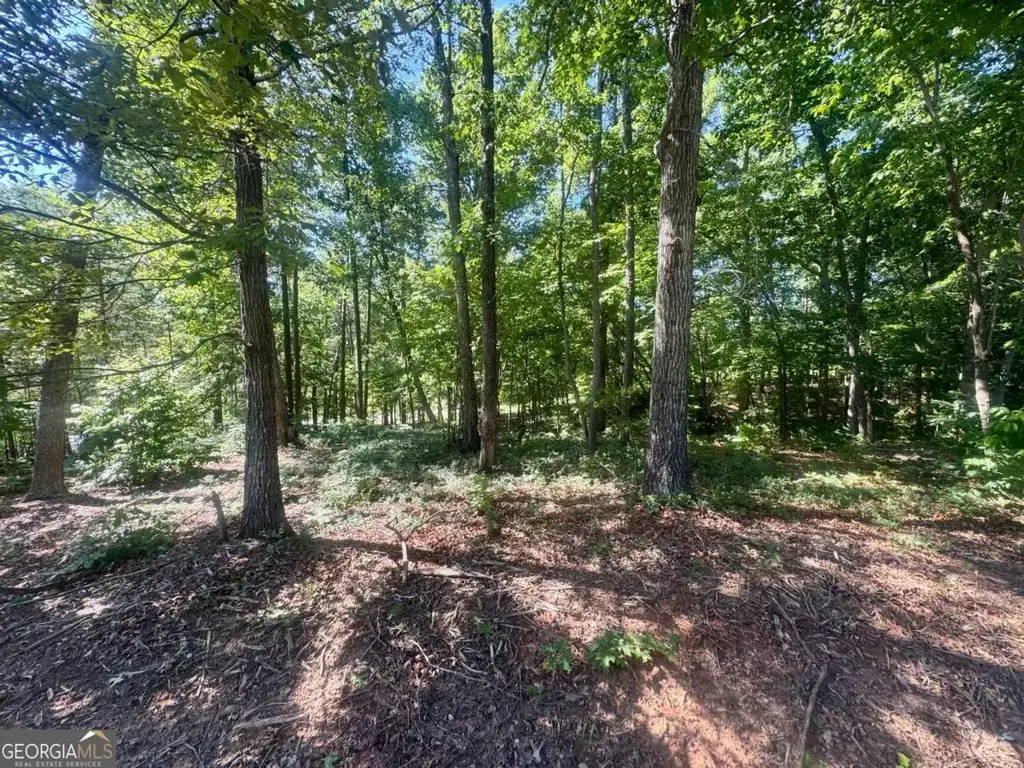 Teel Mountain Drive, Cleveland