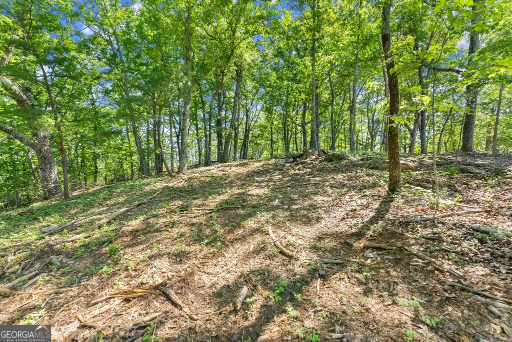 95 Chimney Oaks Trail, Cleveland