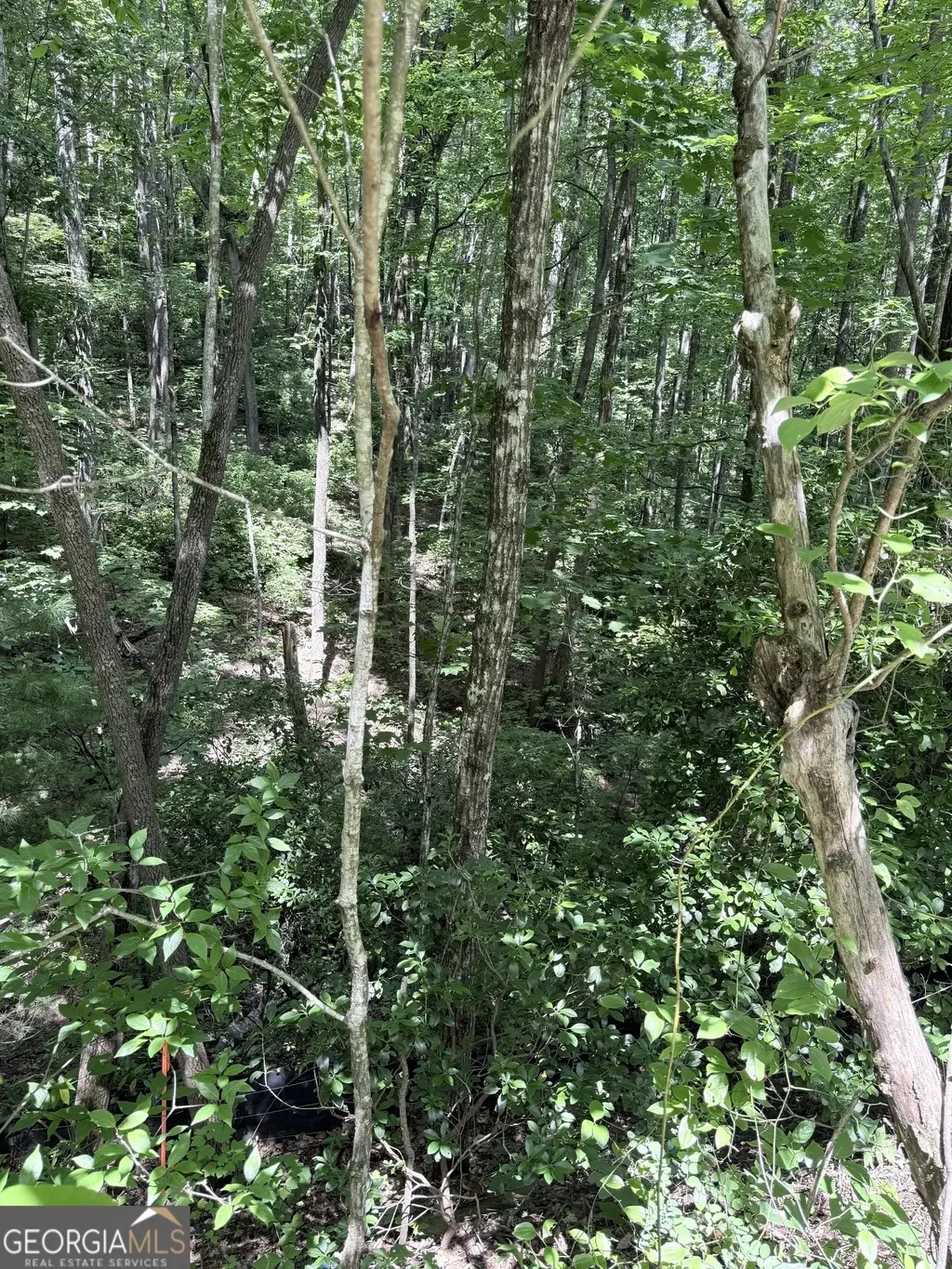Lot 856 Larkspur Lane, Clayton