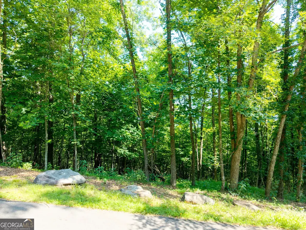 46 Buck Ridge, Murphy