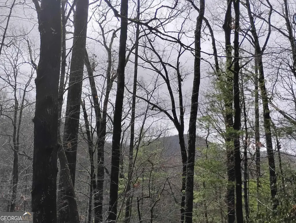 0 Lot 289 Cobblewood Trail, Sky Valley
