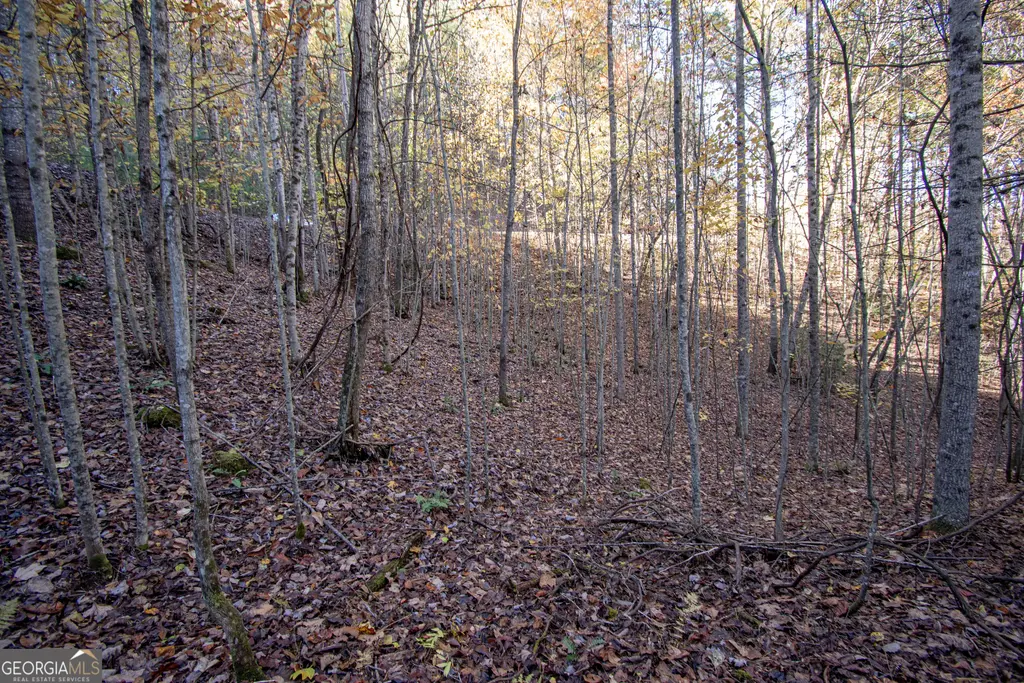 Lot 66 Choctaw Ridge Trail, Murphy