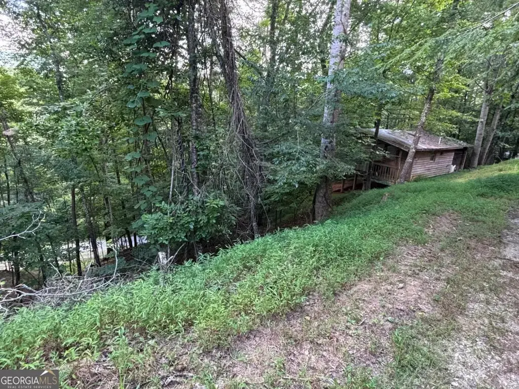 1163 Tipton Springs Road, Morganton