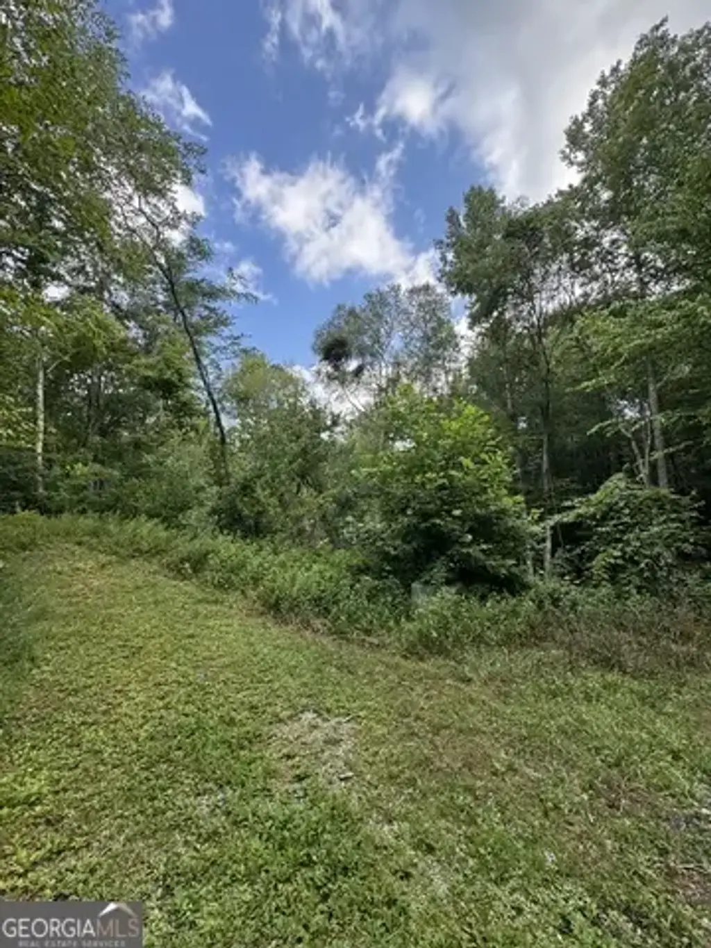 Crest Lane Lot 5, Rabun Gap