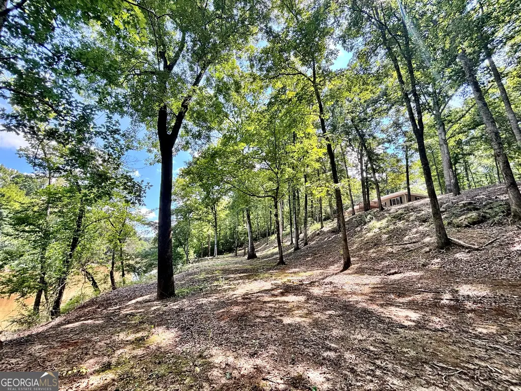 8502 S 19 Hwy, Culloden