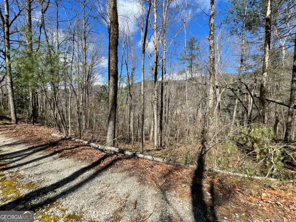 Bridge Creek Road, Tiger