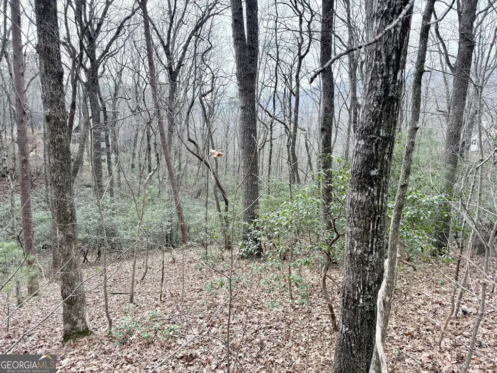 Monarch Lane, Clayton
