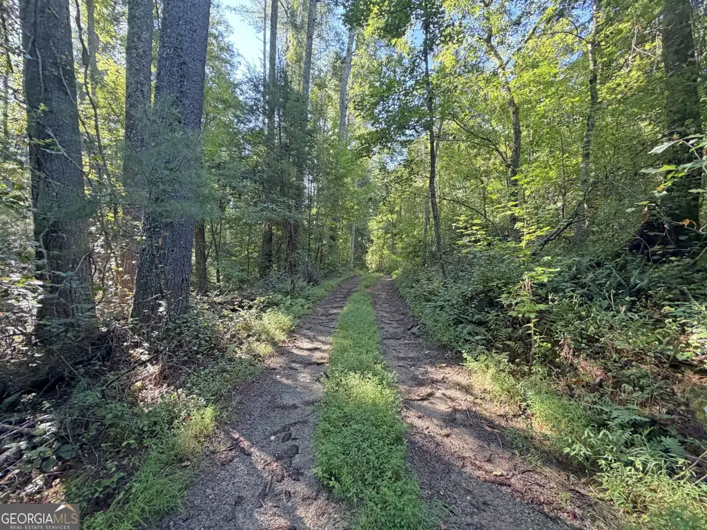 505 Hank Fry Road, Clarkesville
