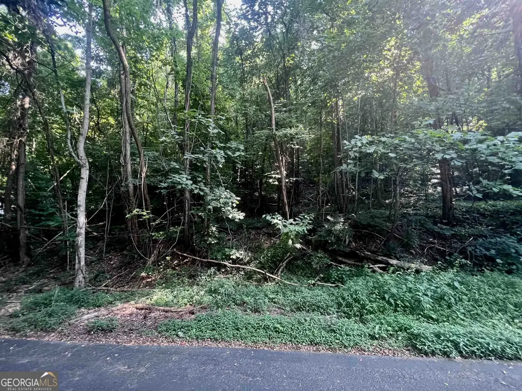 Lot 13 Chalet Drive, Sautee Nacoochee