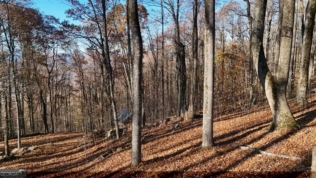 Lot 11 Mountainside Drive, Cleveland