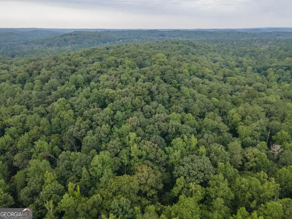 Brazell Road, Chattahoochee Hills
