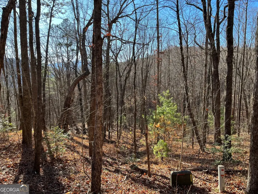 Lot #1 Forest Canopy Way, Clayton