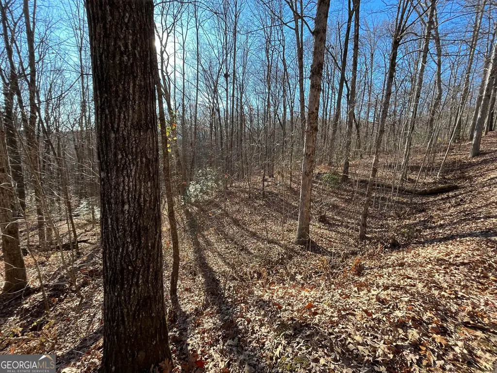 Lot #2 Forest Canopy Way, Clayton