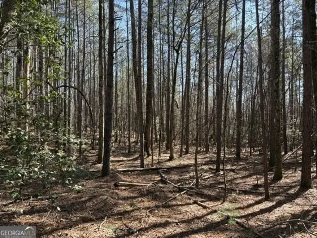 343 Hank Fry Rd, Clarkesville