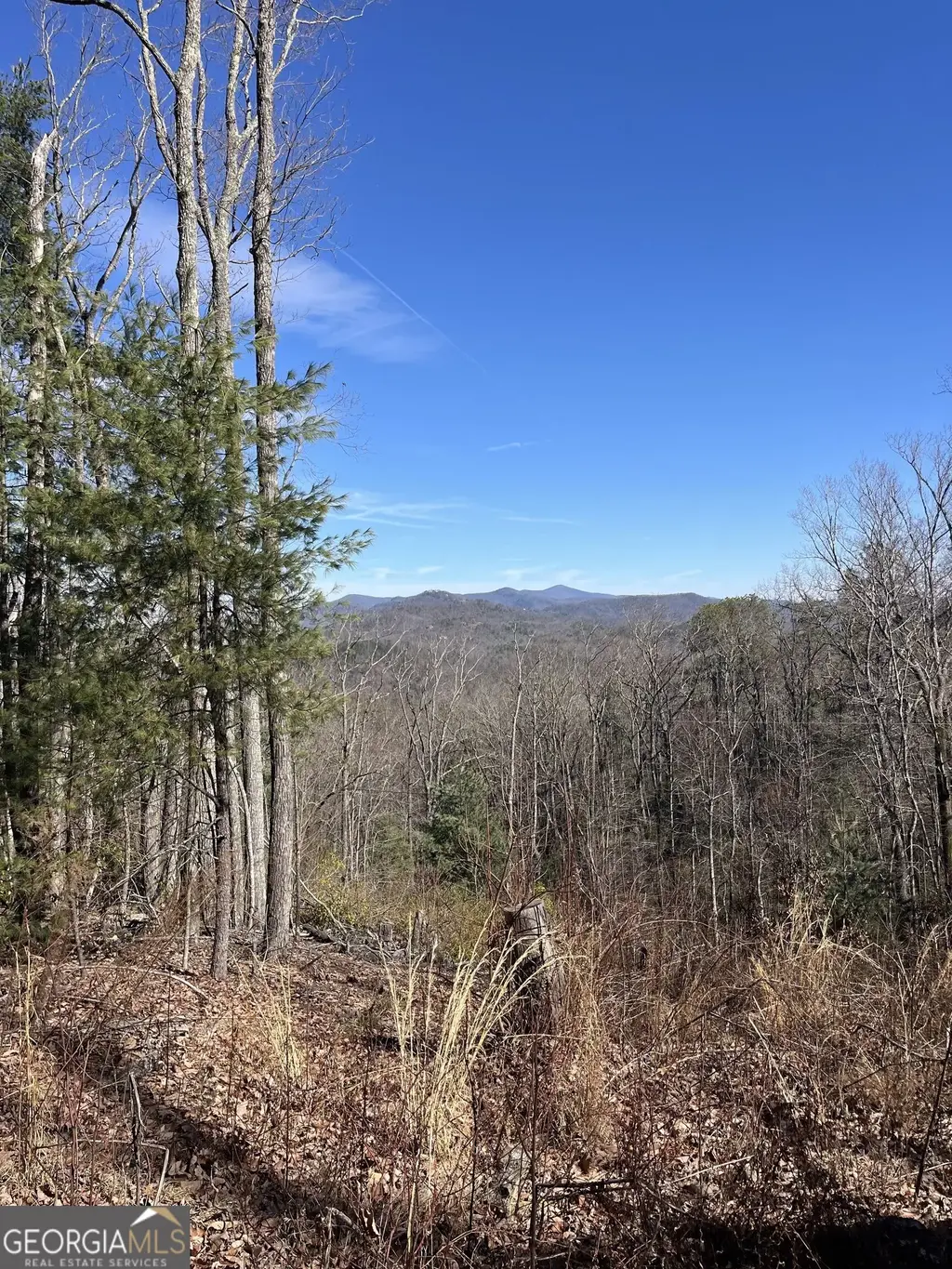 Eastman Mtn Road, Tiger