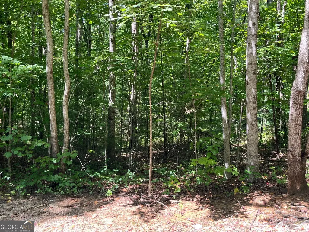 Lot 7 Forest Canopy Way, Clayton