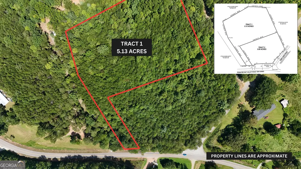 Tract 1 Tesnatee Gap Valley Road, Cleveland