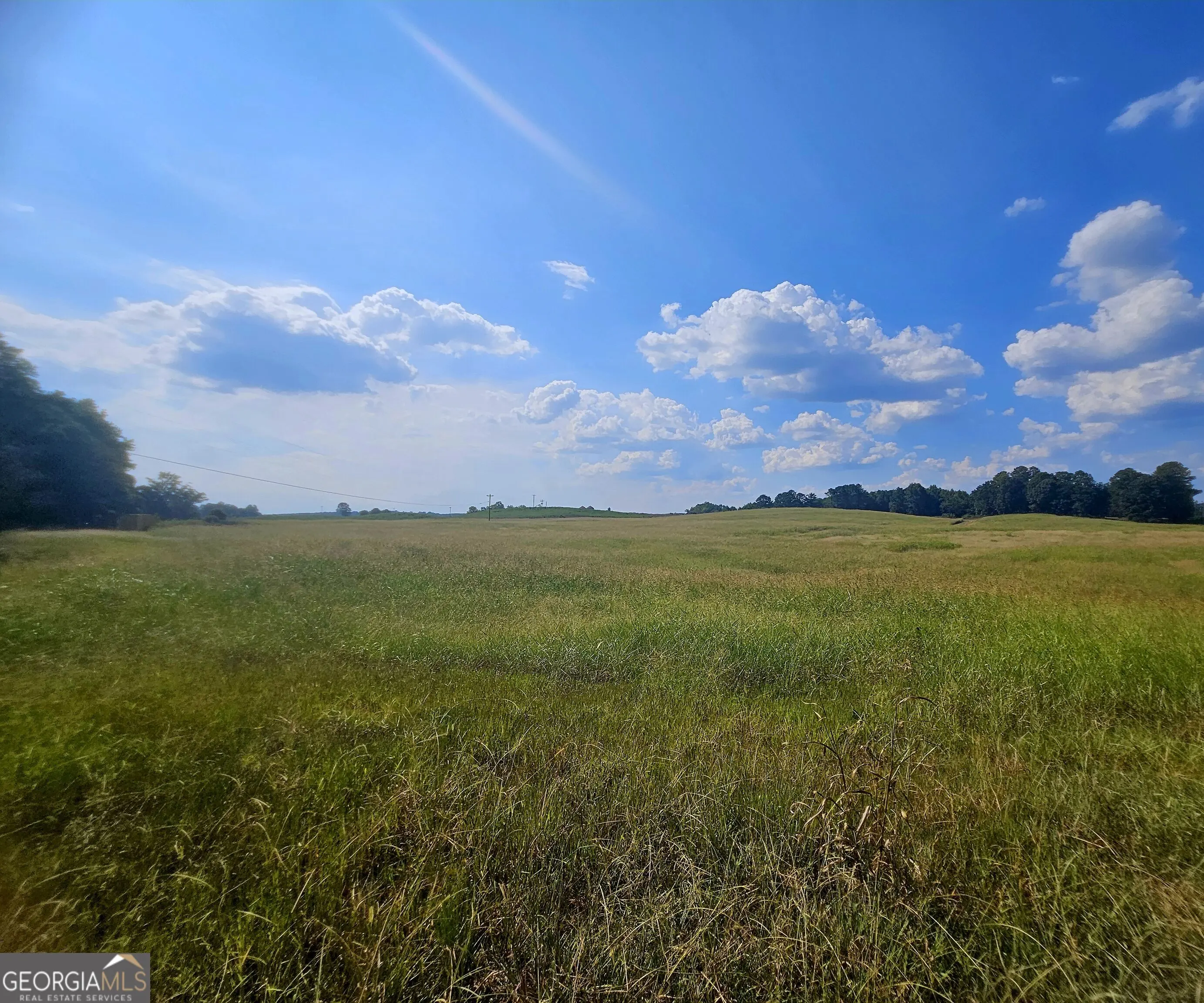 Photo of Listing #10842311