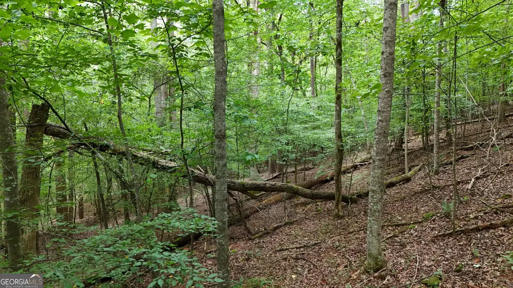 Lot 16 Morris Trail, Cleveland
