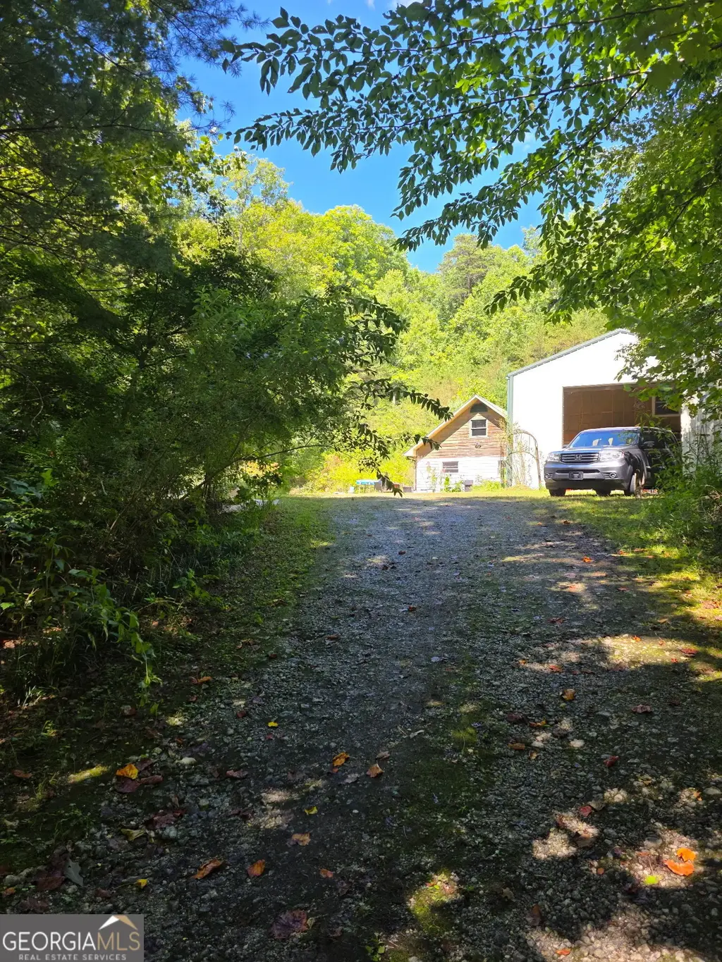 380 David Drive, Tiger