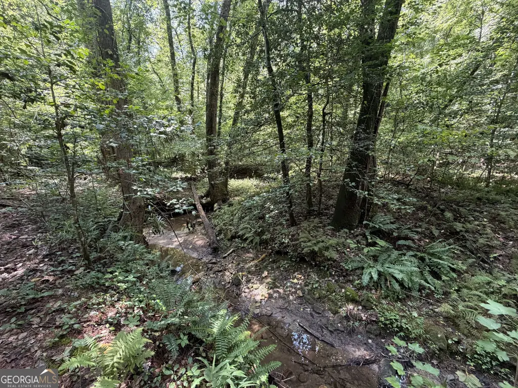 Alpine Drive, Sautee Nacoochee