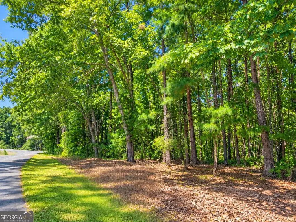 Lot 24 Oak Ct, Toccoa