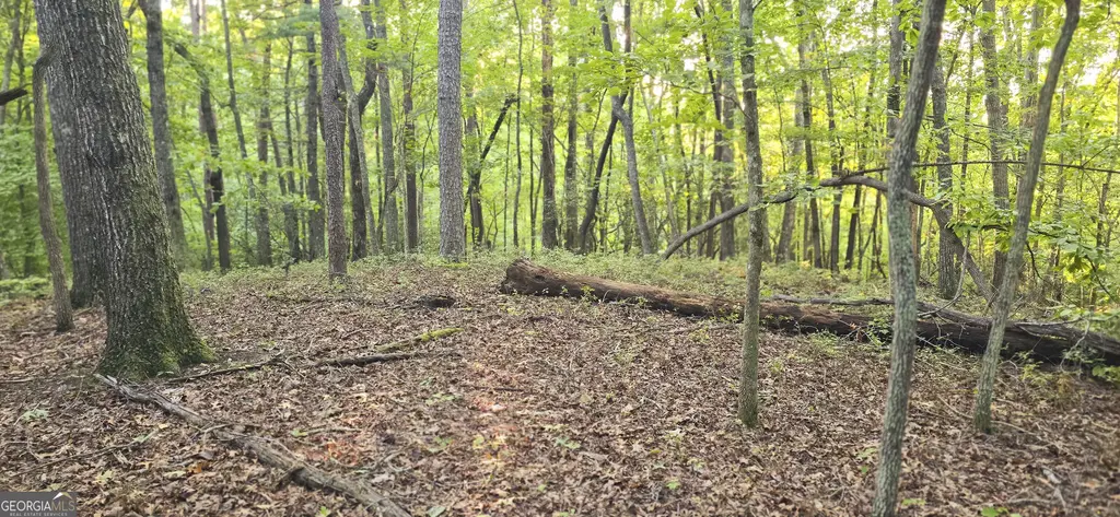 Lot 20 Seye Wailo Trail, Clarkesville