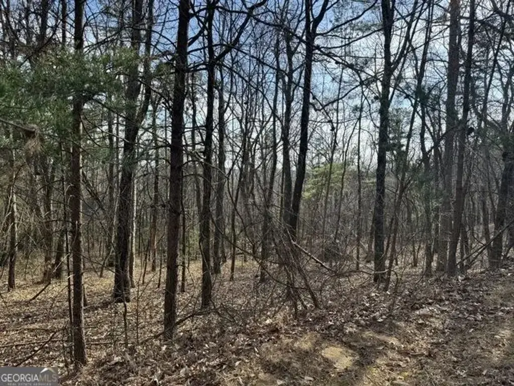 Scarlett Pippin Lane #1604, Clarkesville