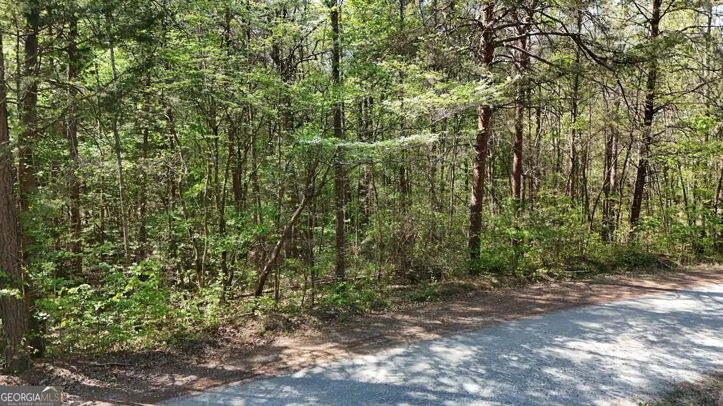 Holcomb North Drive, Martin