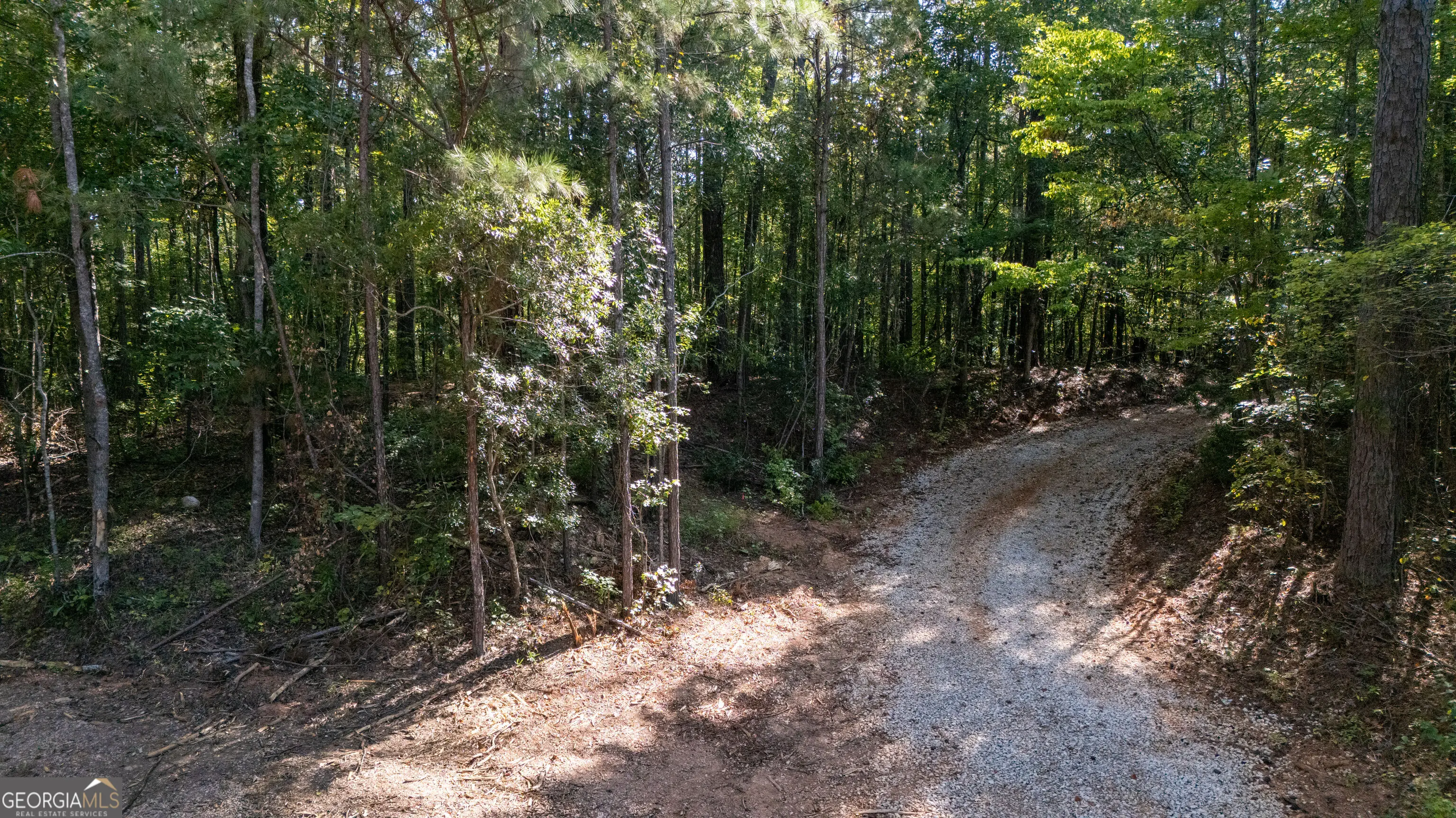 Photo of Listing #10848621