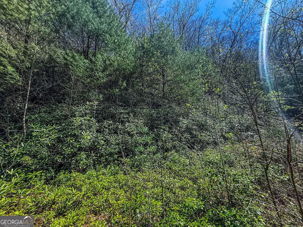 Tr 5 Outback Lane, Rabun Gap