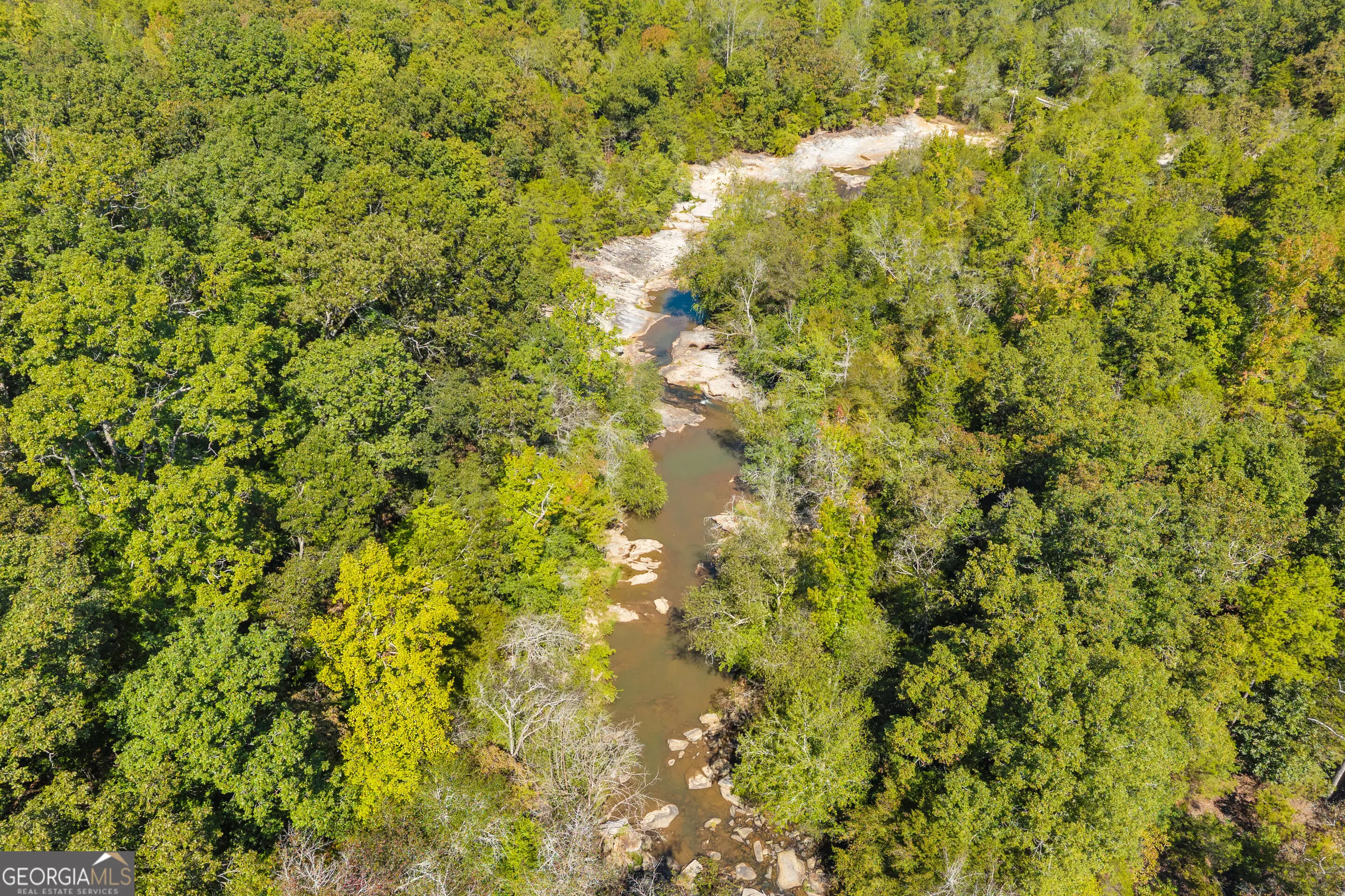 Photo of Listing #10868834