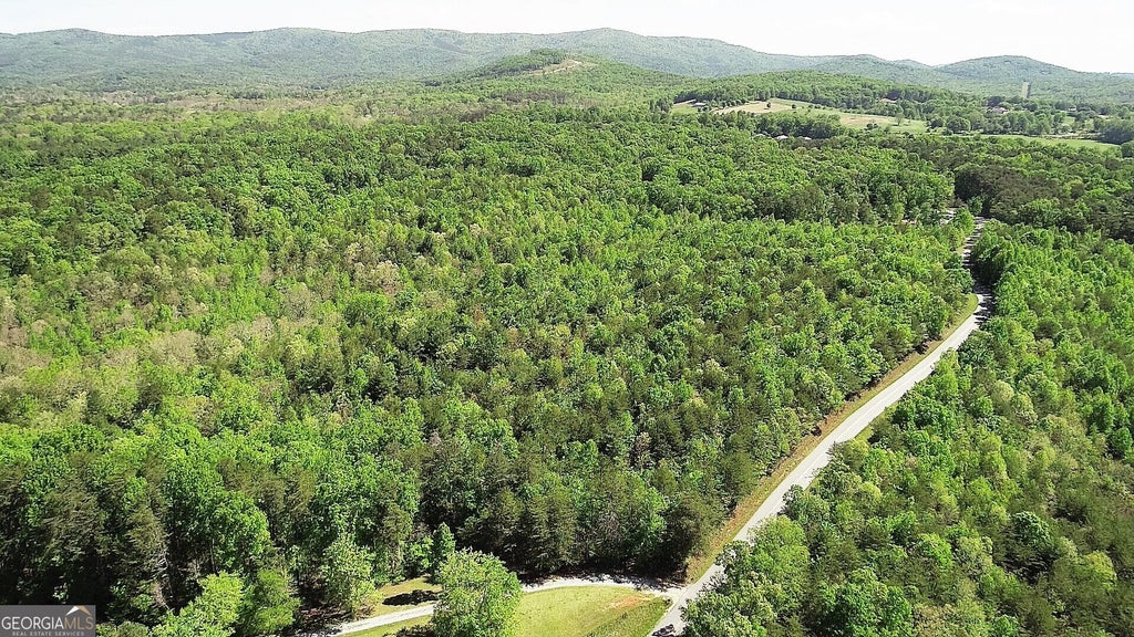 Ben Jones Road, Clarkesville