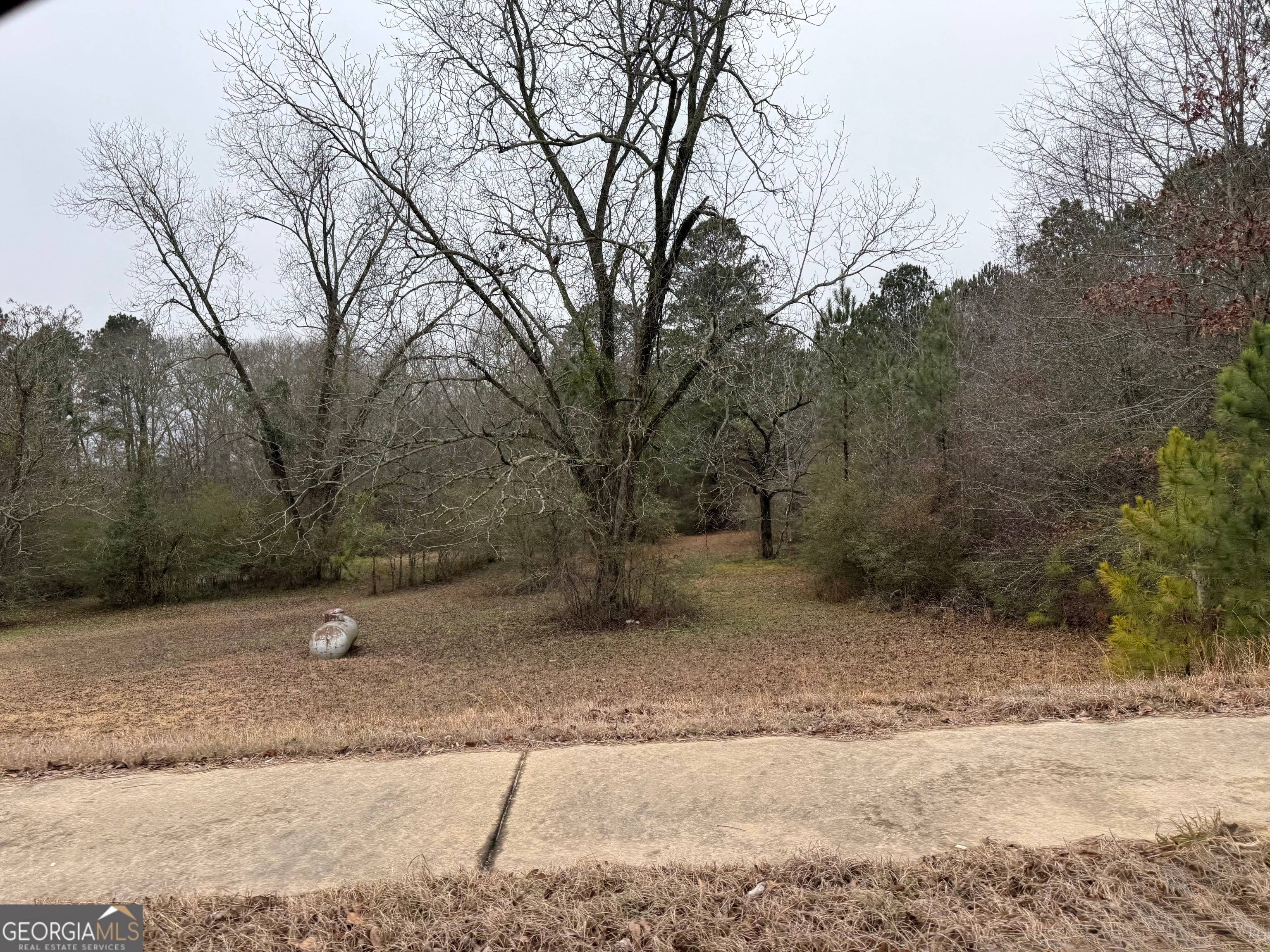 Photo of Listing #10346563