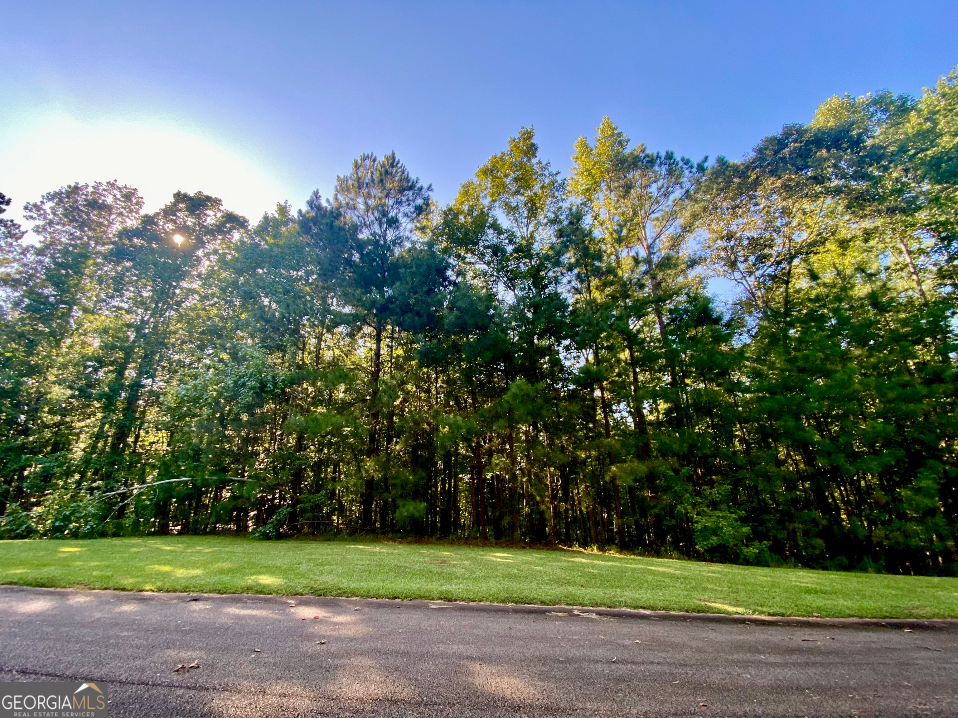 Photo of Listing #10380002