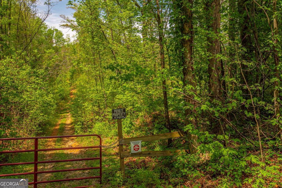 Photo of Listing #10407452