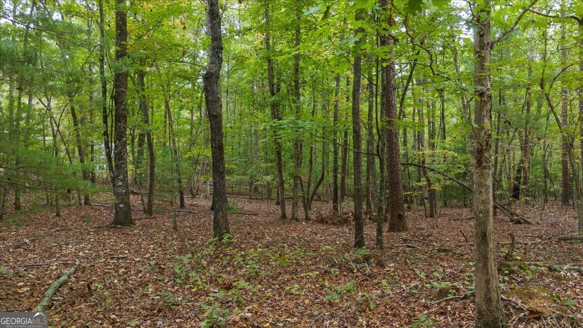 Photo of Listing #10408283