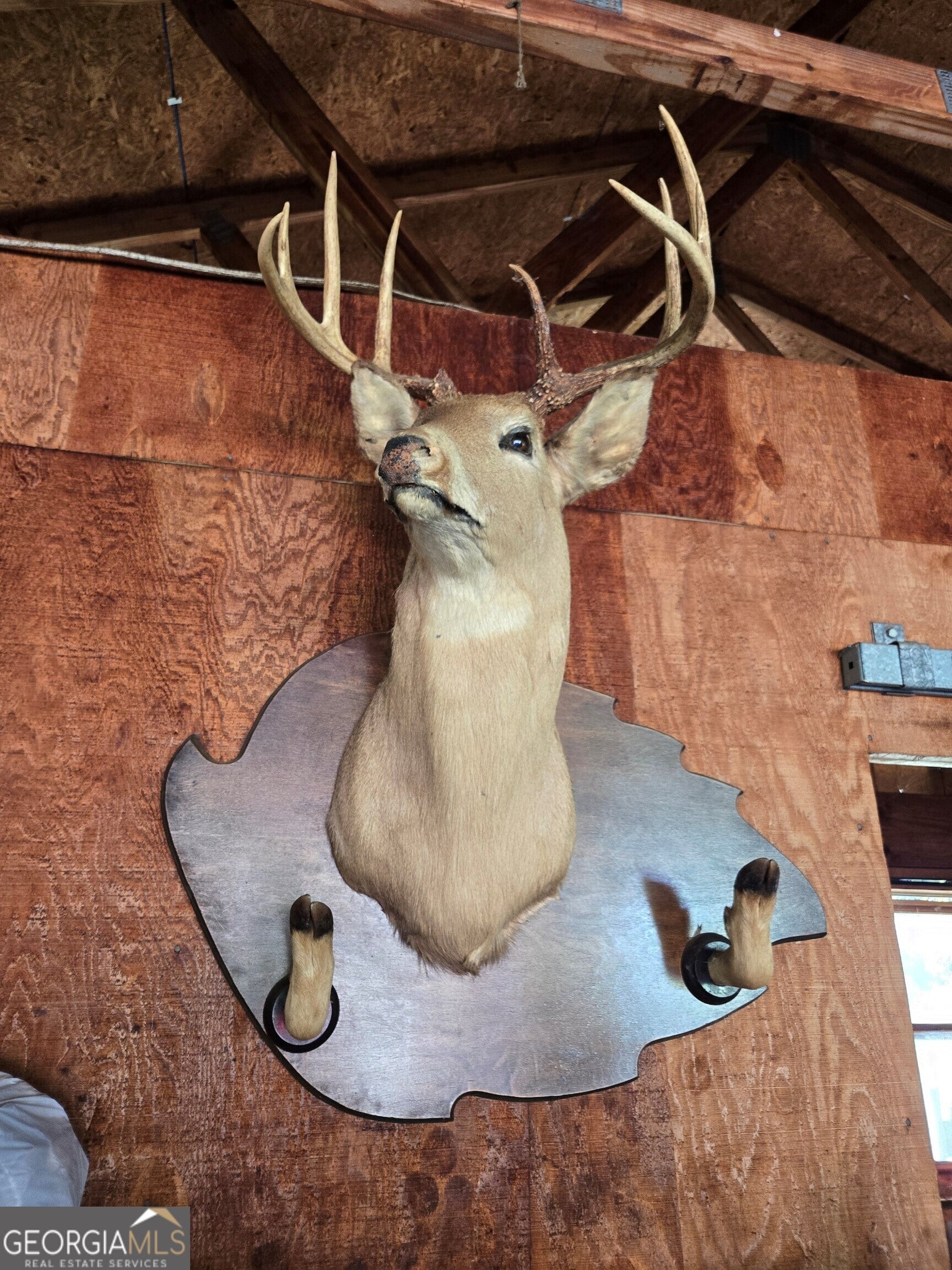 Photo of Listing #10408995