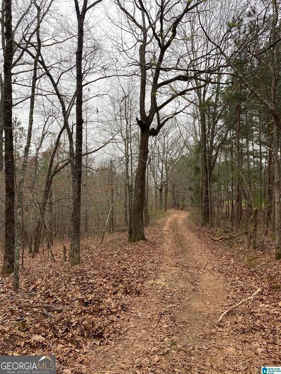 Photo of Listing #10422535