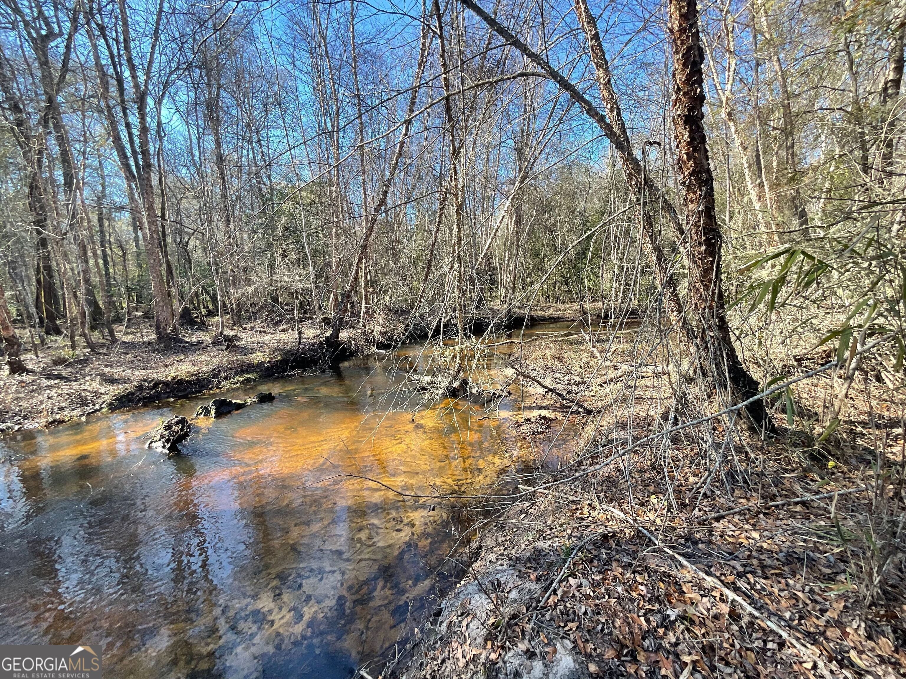 Photo of Listing #10438937