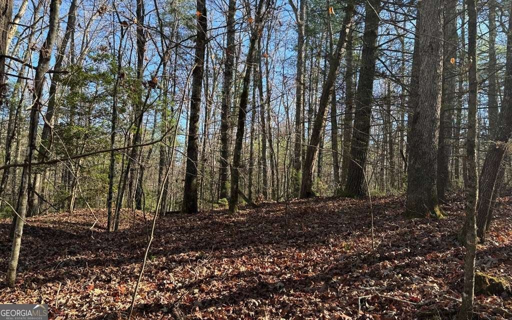 Photo of Listing #10446126