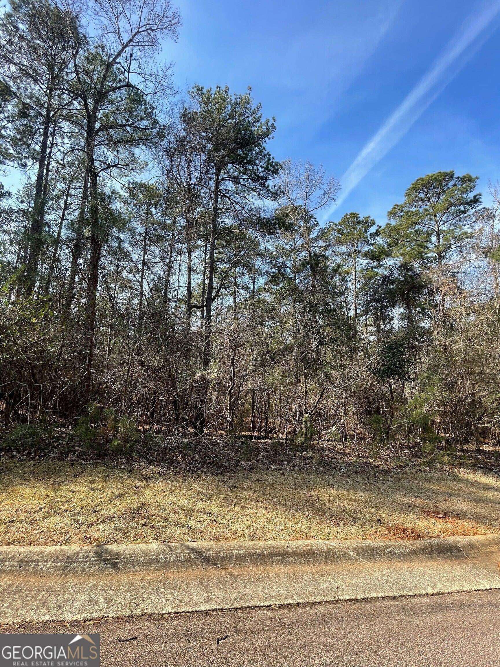 Photo of Listing #10450127