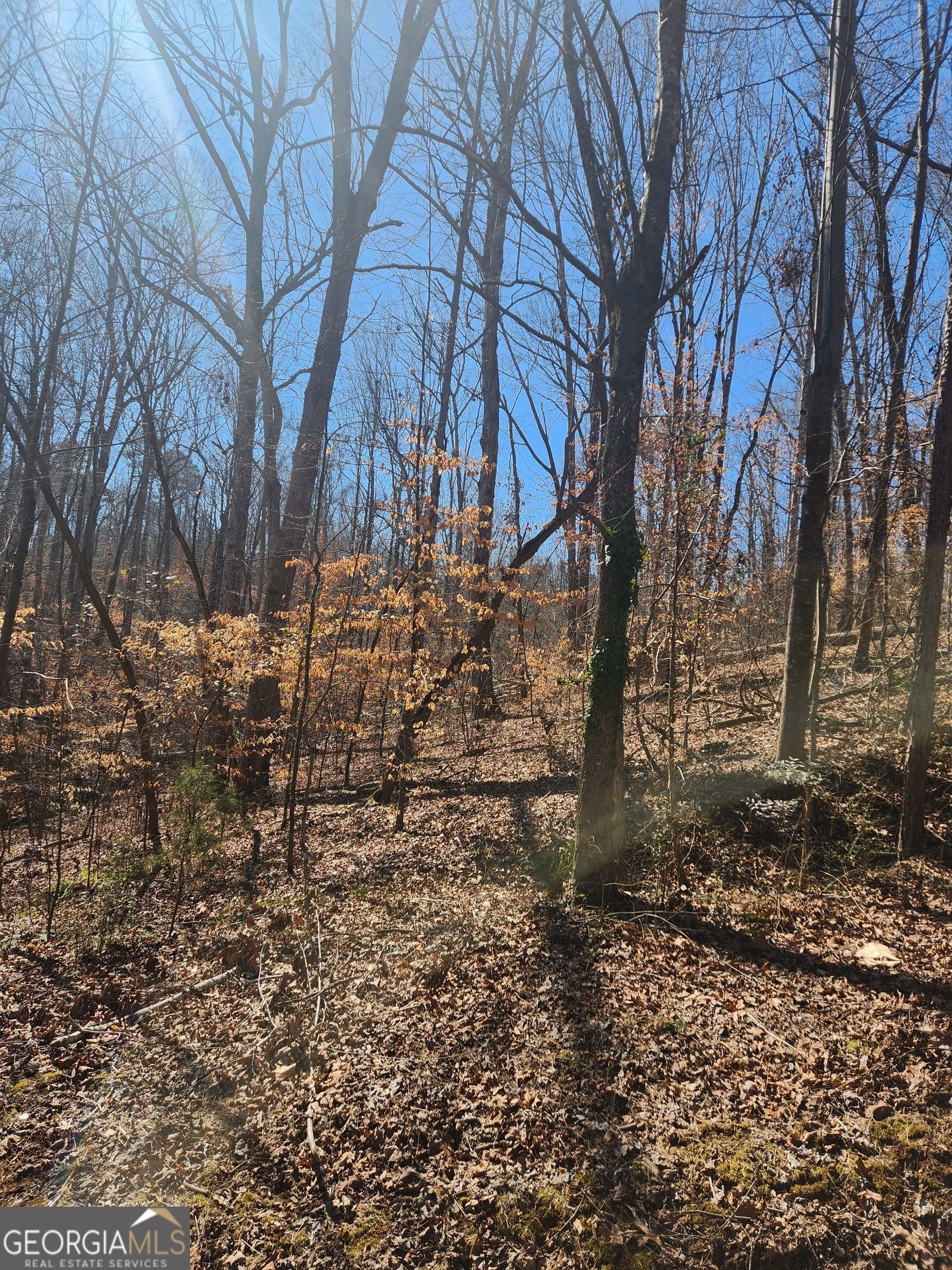 Photo of Listing #10466670