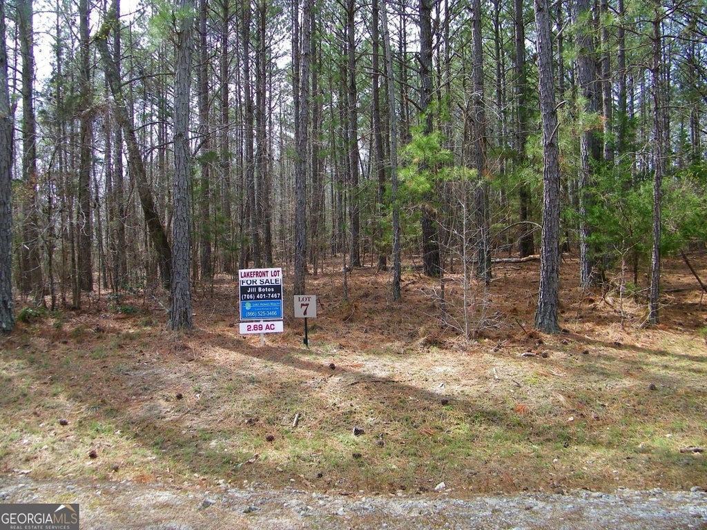 Lot 7 Blackberry Bend, Elberton