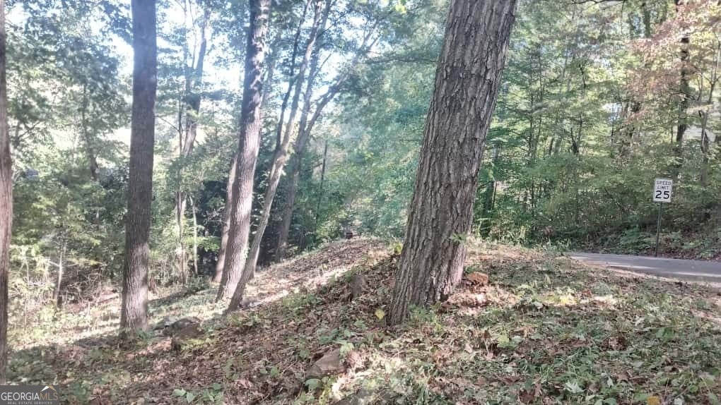 2047 Kingswood Drive, Marietta